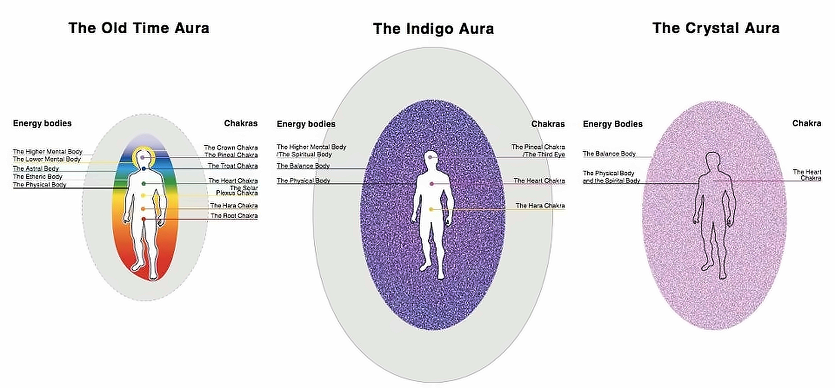 The Old Time aura, the Indigo aura and the Crystal aura side by side, with their energy bodies and chakras labeled.